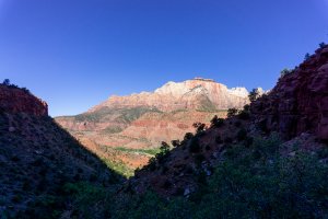 20210428ZionNP_D2020.jpg